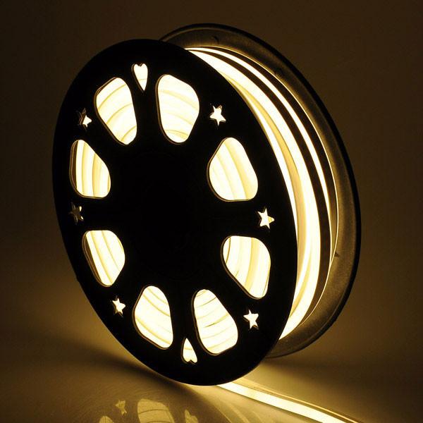 100FT Warm White D-Shape LED Neon Light IP65 (15x14mm)