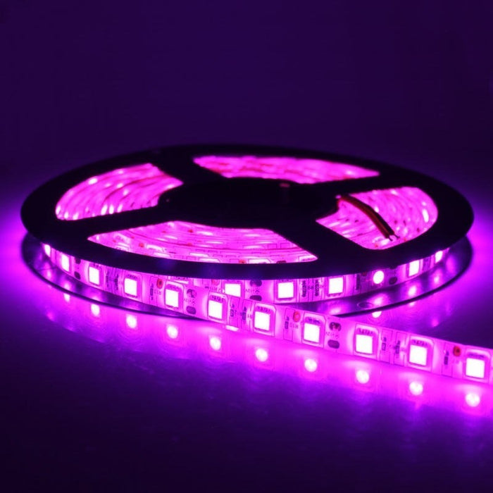 Pink 12v SMD-5050 LED Strip Light 16.4' Spool IP65