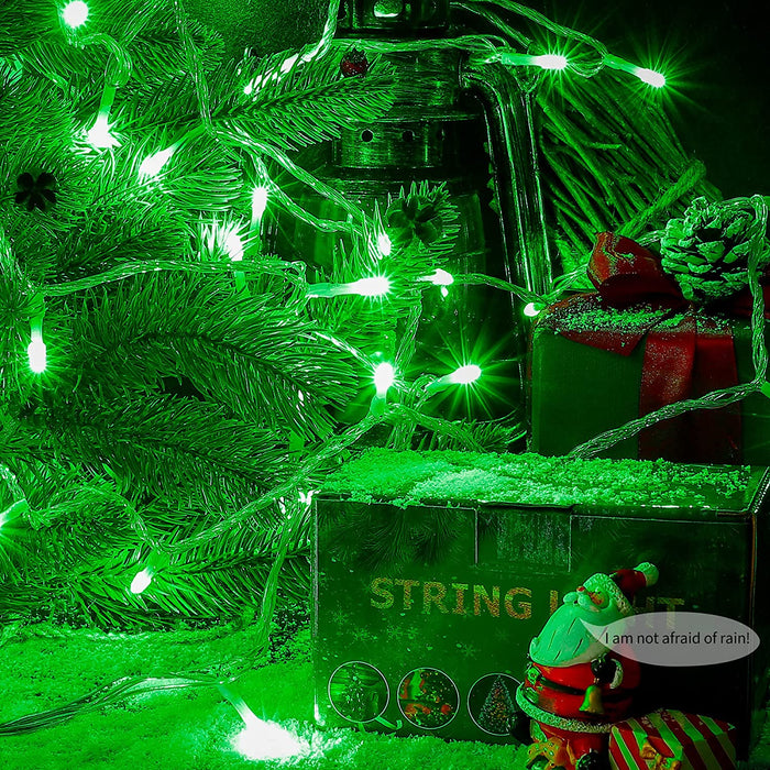 Green String Light 100 LED 120V